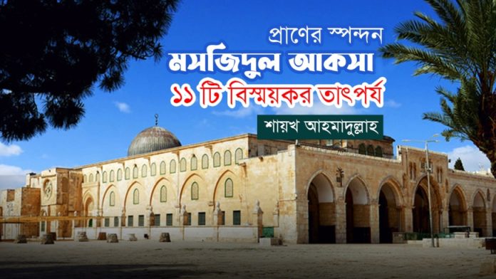 ahmadullah